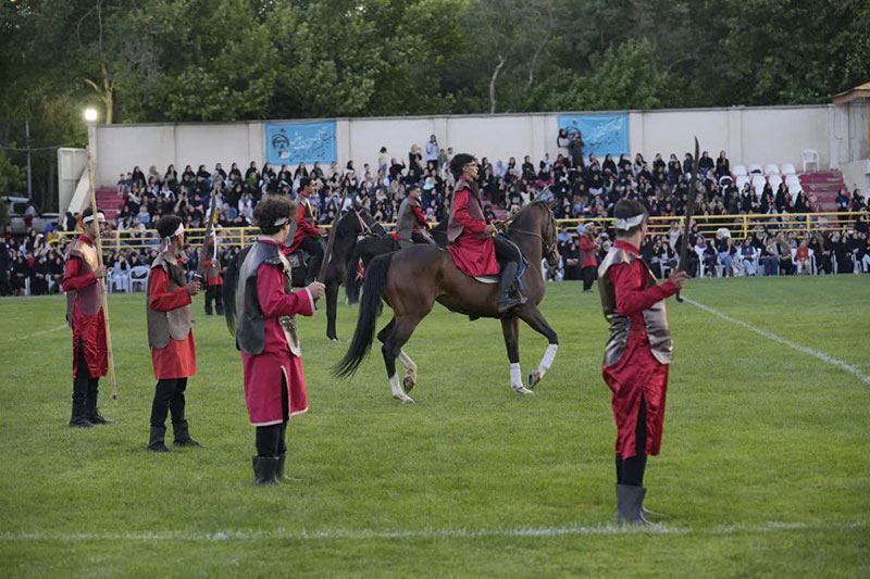 hemase12